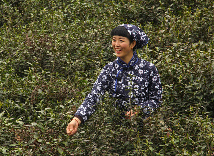 热门推荐7